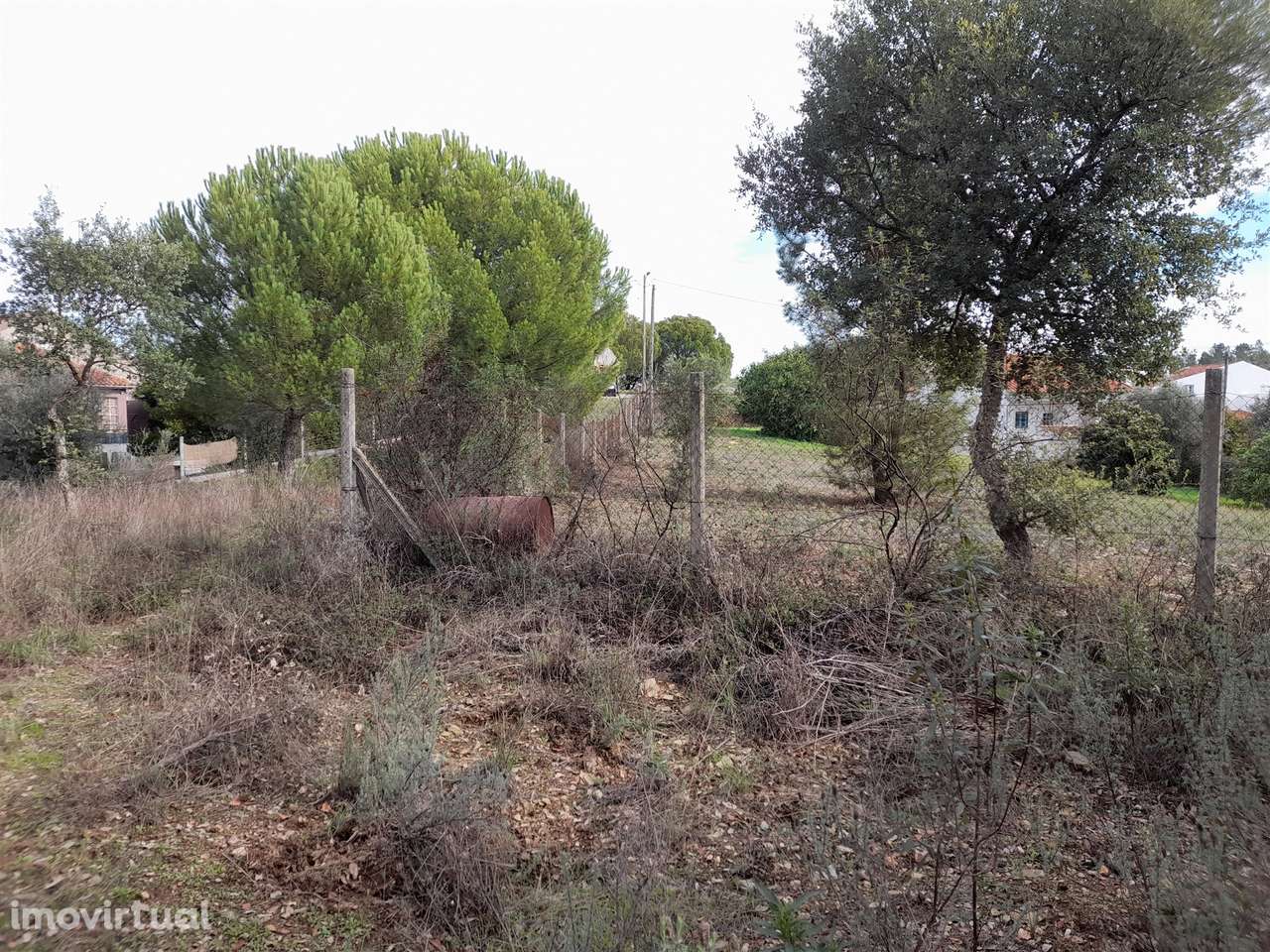 Terreno Rústico T0 Venda em Sarnadas de Ródão,Vila Velha de Rodão - Grande imagem: 4/14