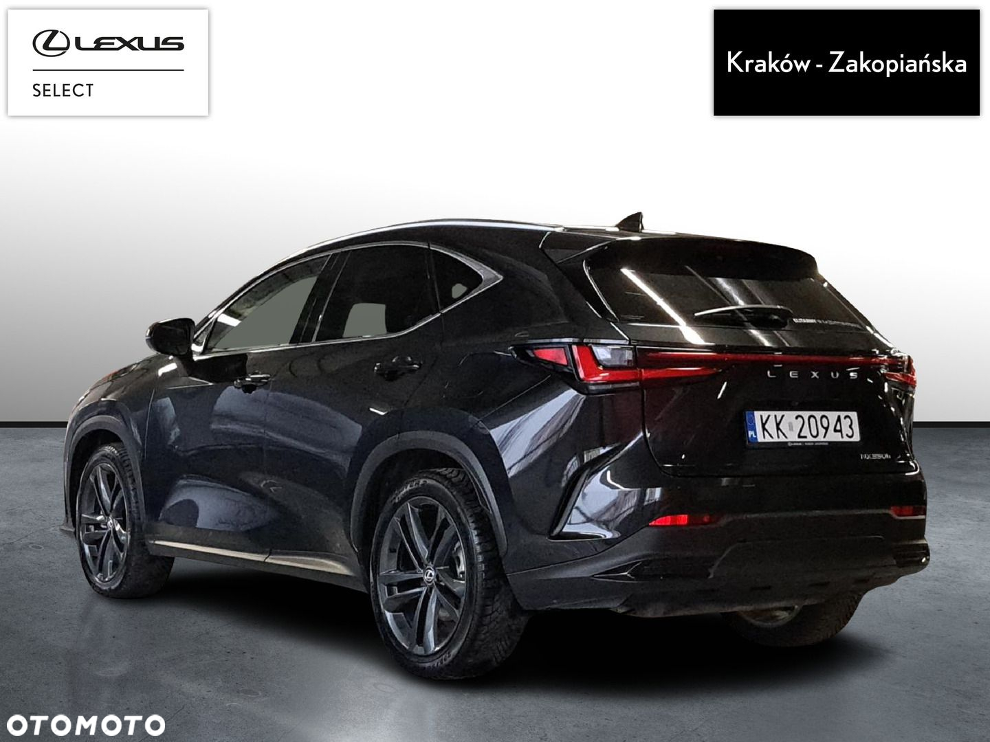 Lexus NX - 6