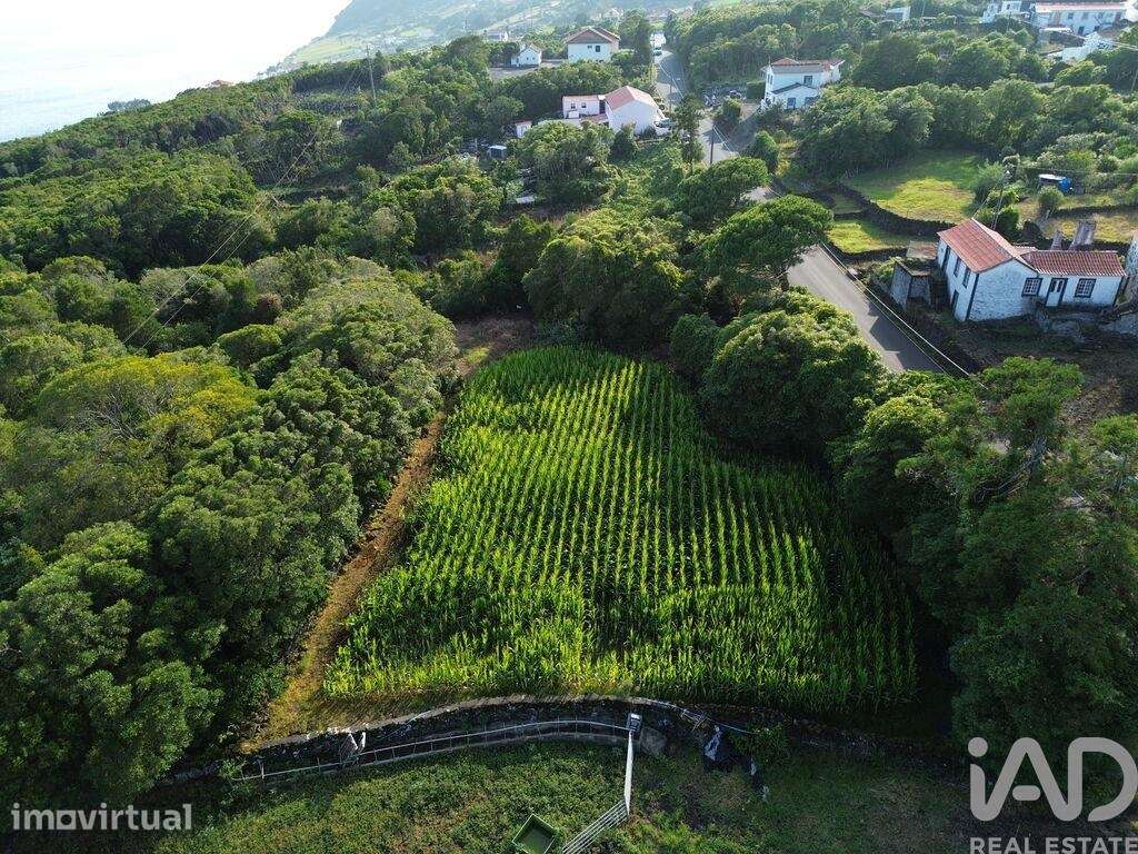 Terreno em Ribeiras - Grande imagem: 5/8