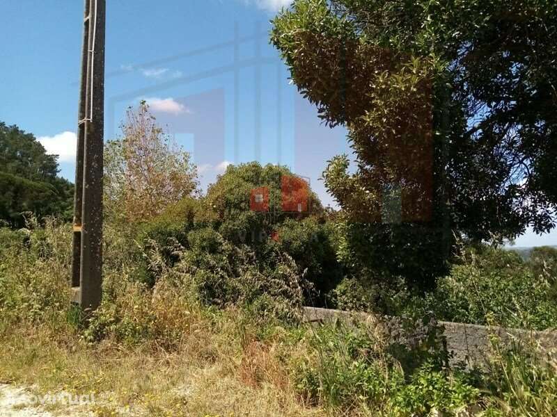 terreno rustico - Grande imagem: 3/4