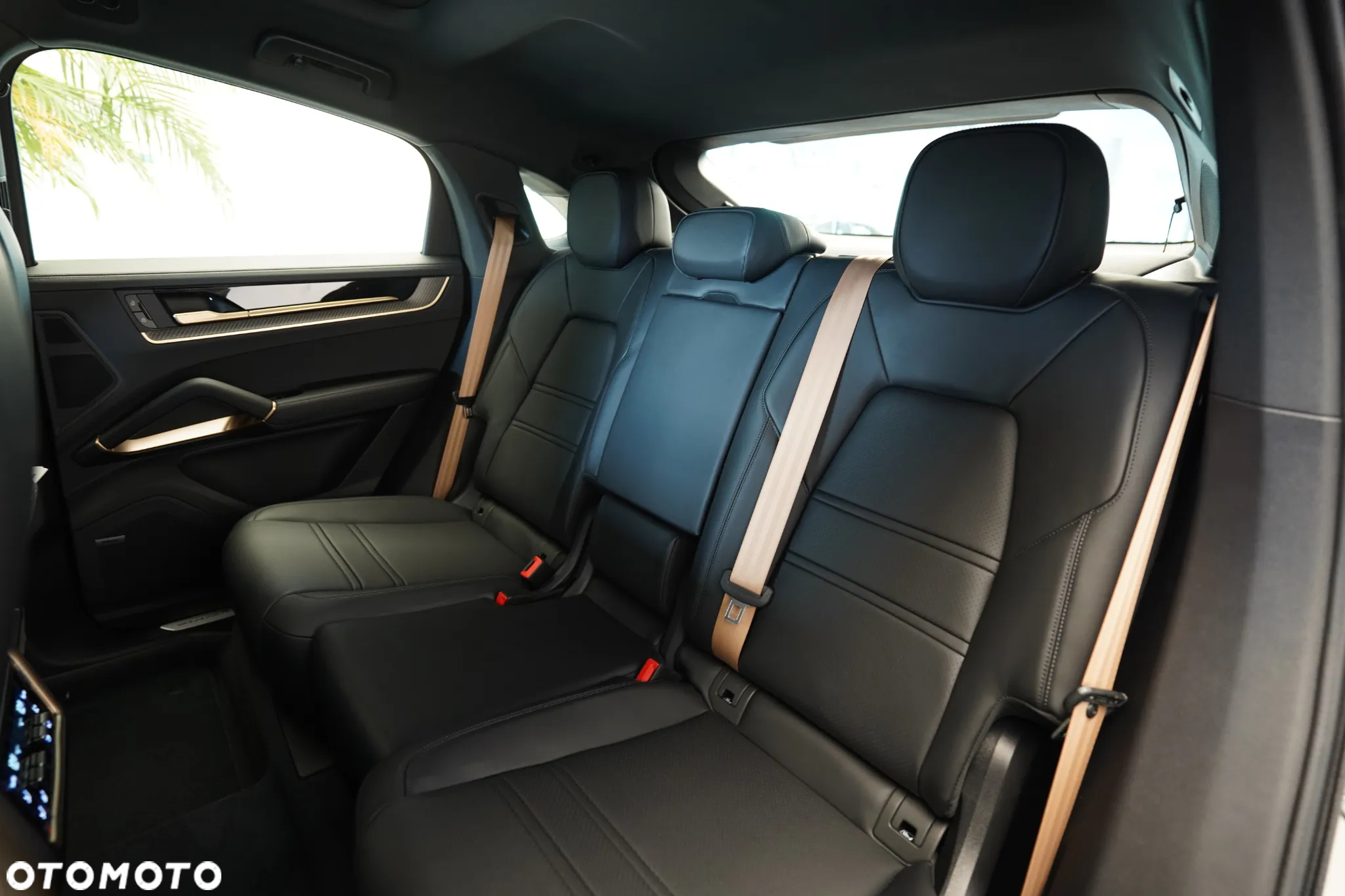Porsche Cayenne Coupe S E-Hybrid PHEV - 11