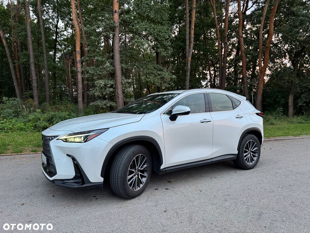 Lexus NX 350h Elegance 2WD - 10