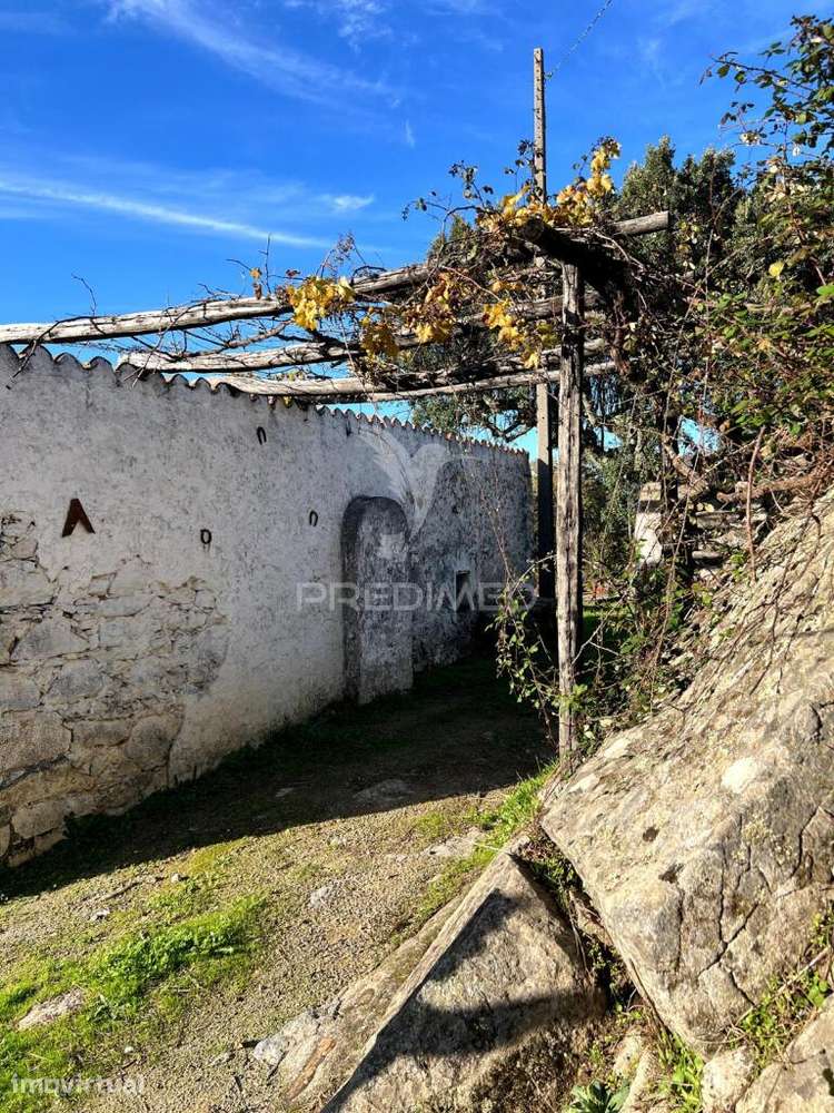 QUINTA T2 PARA RECUPERAR — CARREIRAS, PORTALEGRE - Grande imagem: 3/17