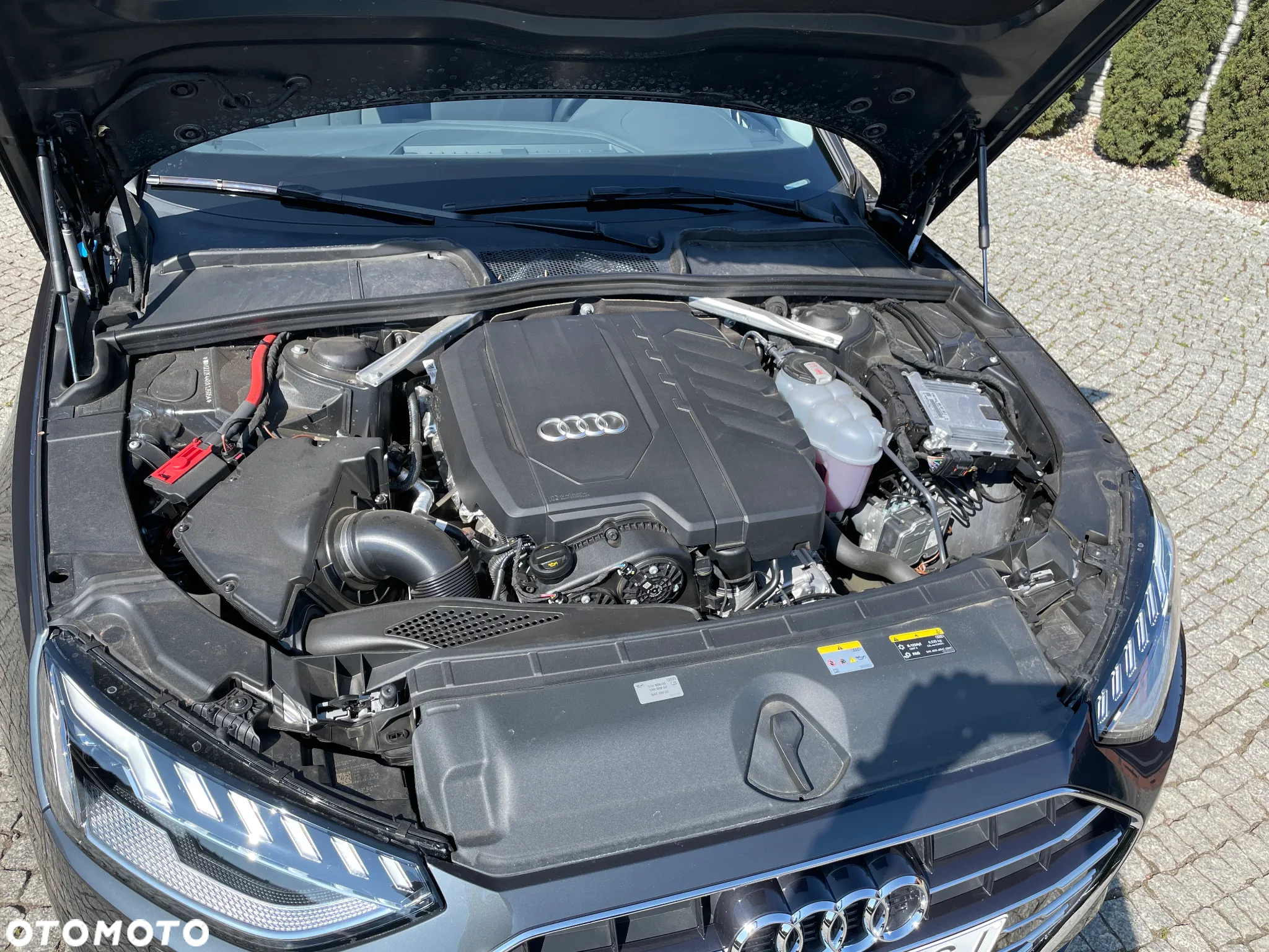 Audi A4 - 37