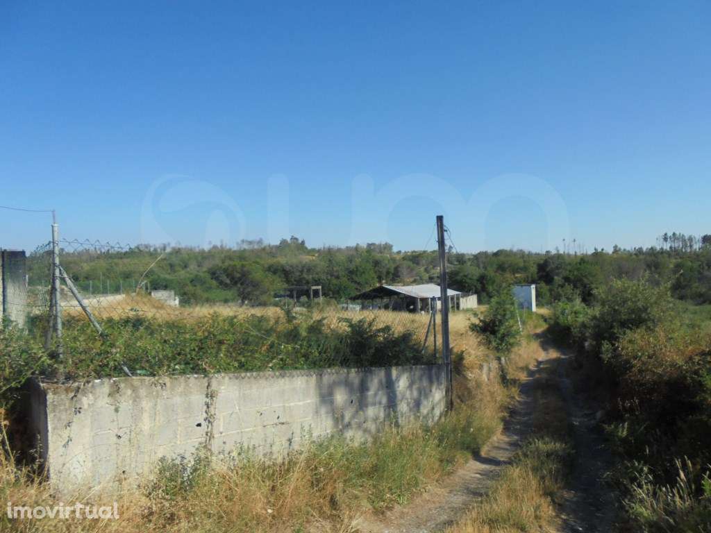 Armazém e Terreno em Mangualde - Grande imagem: 4/7