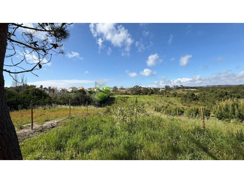 Terreno parcialmente urbano de 1.920 m2, perto de Torres Vedras - Grande imagem: 4/15