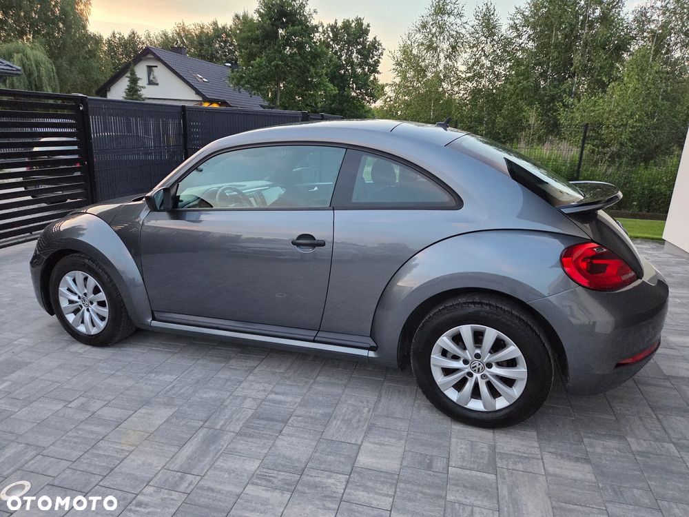 Volkswagen Beetle - 10