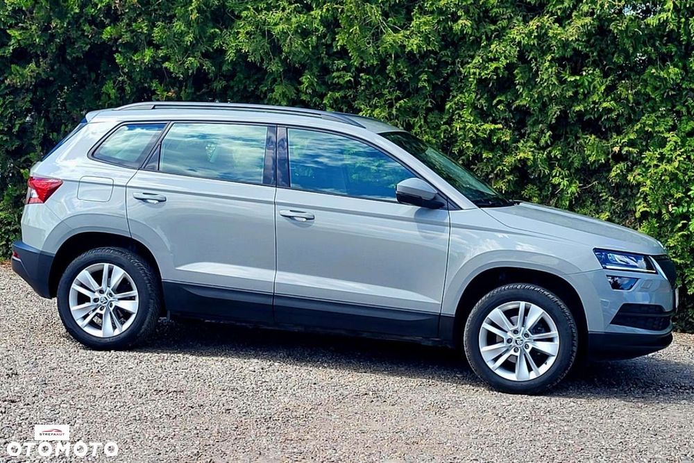 Skoda Karoq - 14