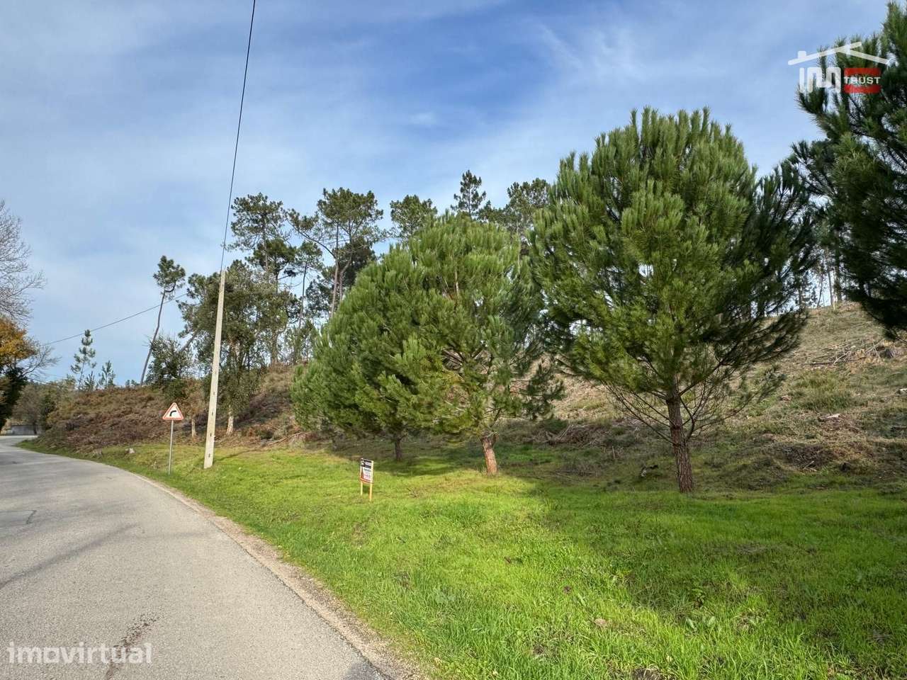 Terreno com pinhal com área 7.700 m2 com possível viabilidade de co... - Grande imagem: 2/29