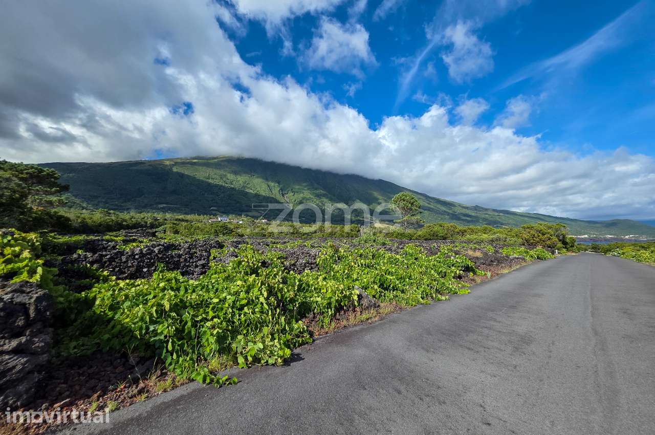 Terreno de vinhas com 2835m2, em São Caetano na Ilha do Pico - Grande imagem: 5/16