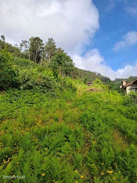 Terreno com Ruinas - Grande imagem: 2/12