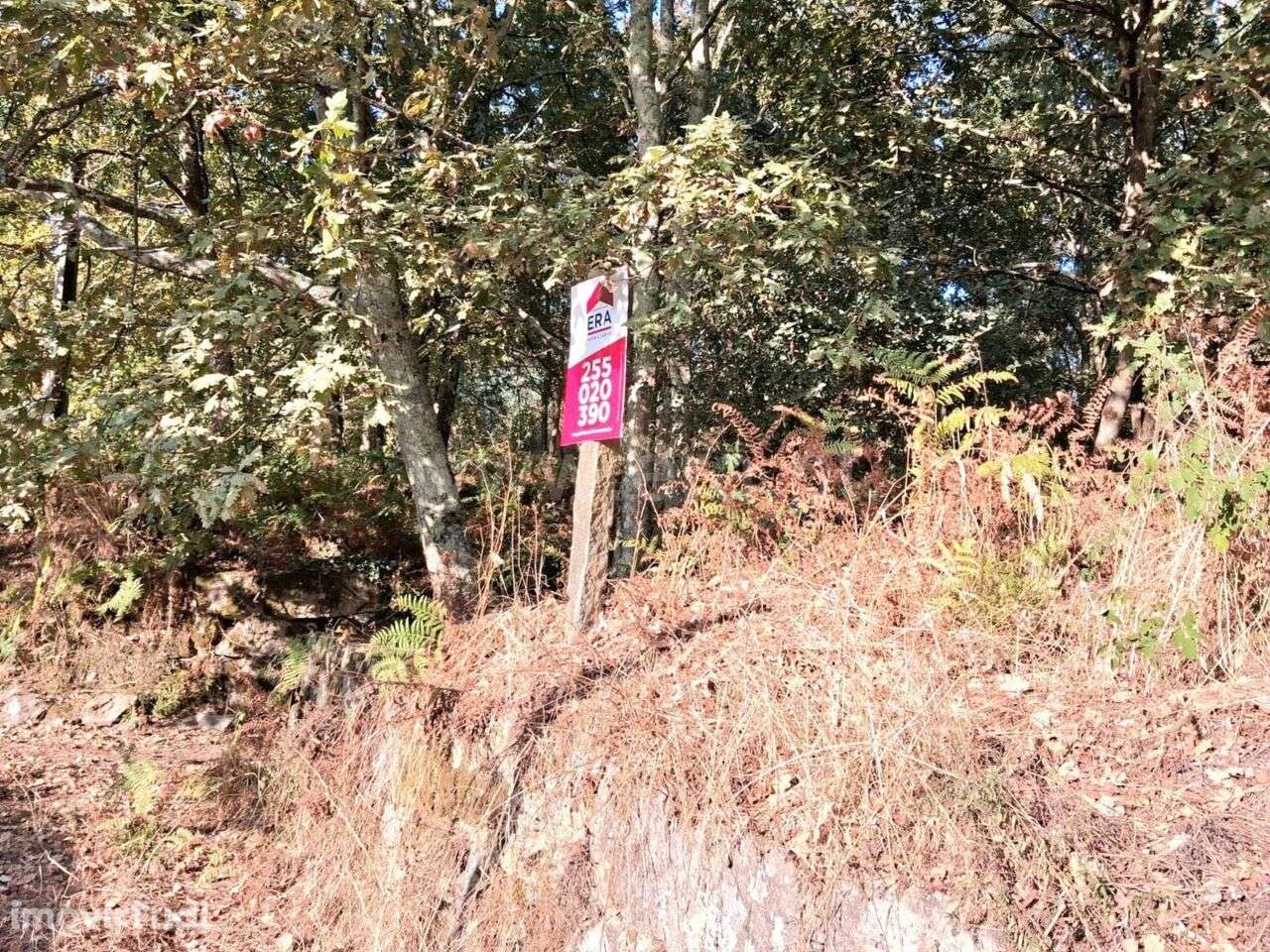 Terreno Rústico / Marco de Canaveses, Vila Boa do Bispo - Grande imagem: 2/6