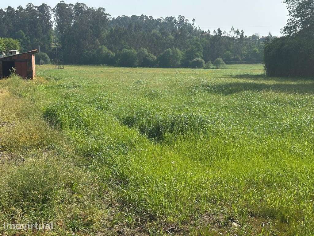 TERRENO COM POTENCIAL CONSTRUTIVO - FREIXO, PONTE DE LIMA - Grande imagem: 5/7
