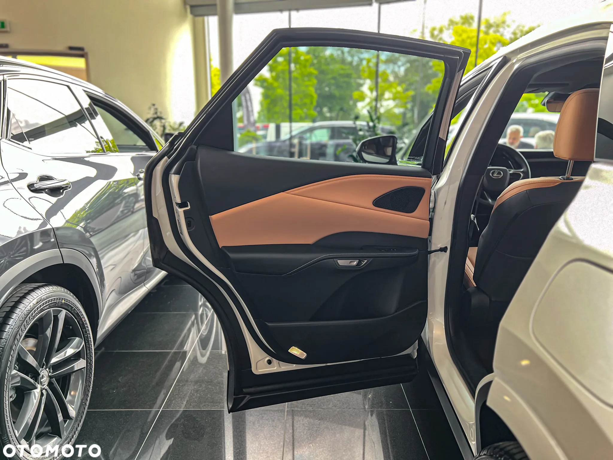 Lexus RX 350h Prestige - 21