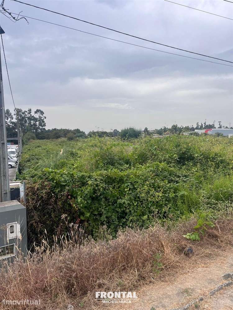 Terreno Para Venda – 6.000 m² | Localização Estratégica junto ao Aerop - Grande imagem: 4/9