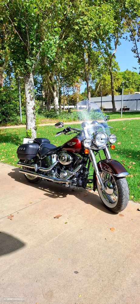 Harley-Davidson FLSTS Softail Deluxe - 2