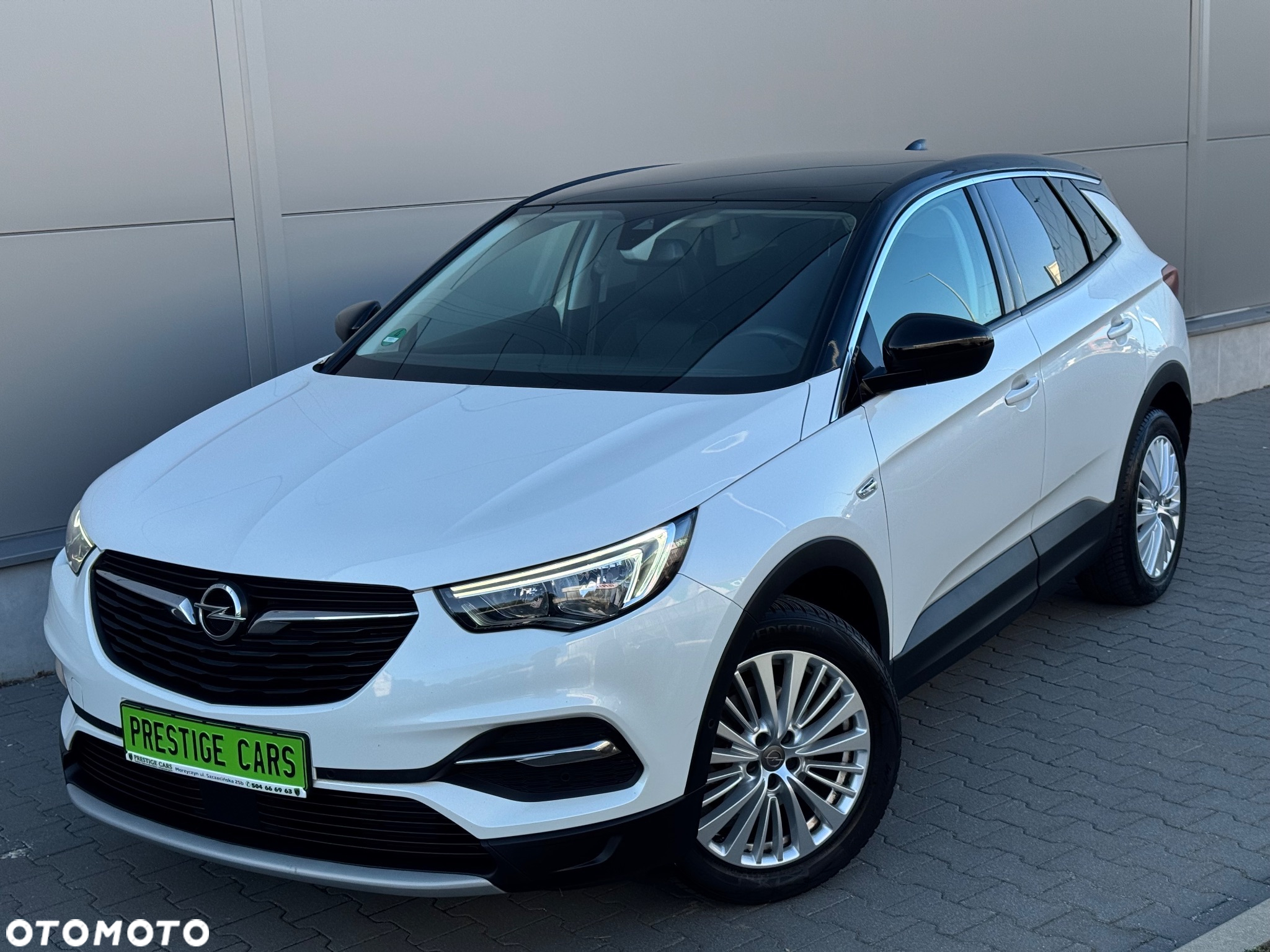 Opel Grandland X 1.6 CDTI Ultimate S&S - 18