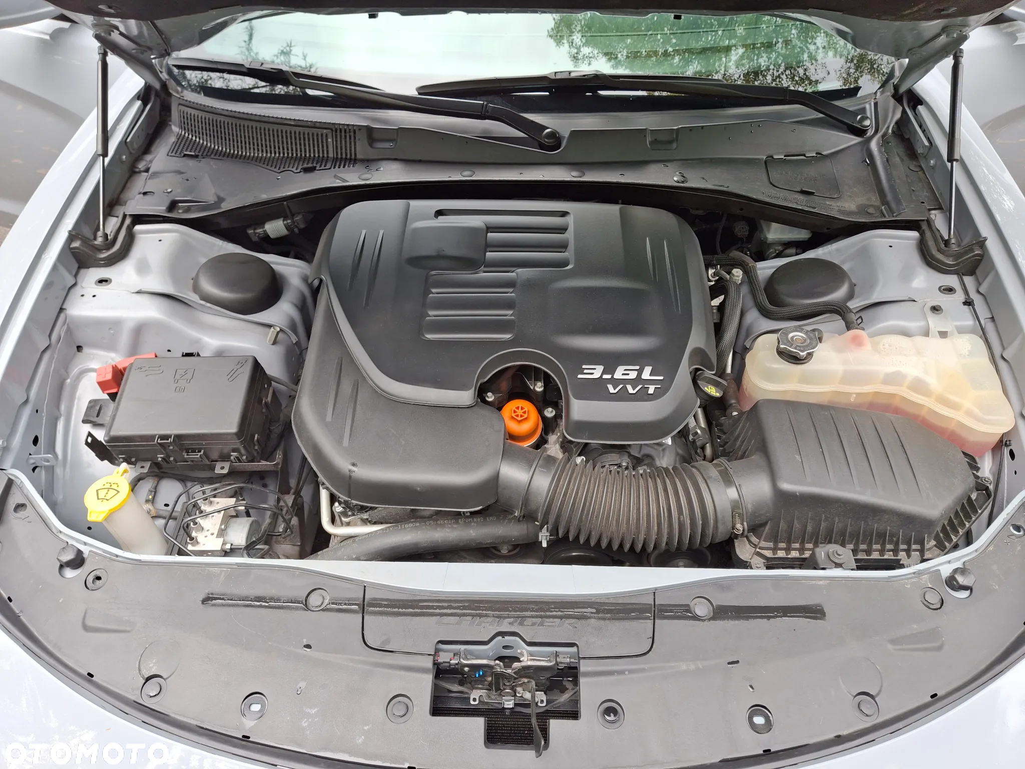 Dodge Charger 3.6 GT - 19