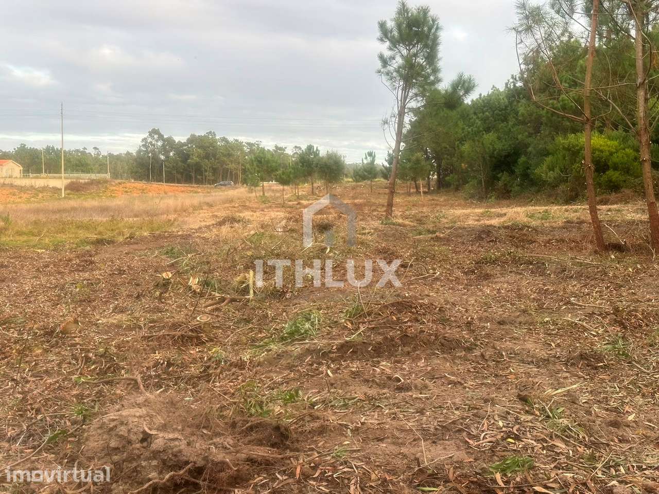 Terreno Agricola com 5160 m2 perto do Bom Sucesso em Serra Del Rei - Grande imagem: 2/23