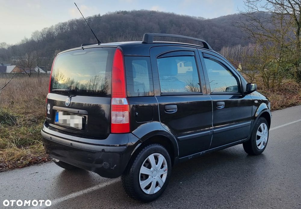 Fiat Panda 1.2 Dynamic Olympic - 9