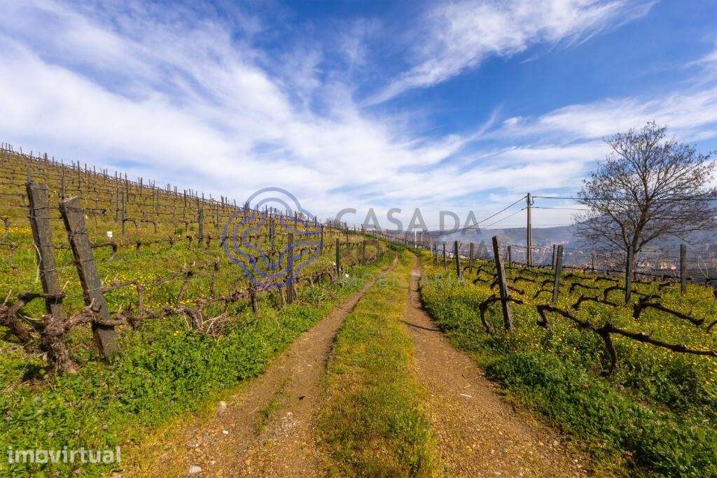 Quinta de Sequeiros em Sande, Lamego - Grande imagem: 5/23