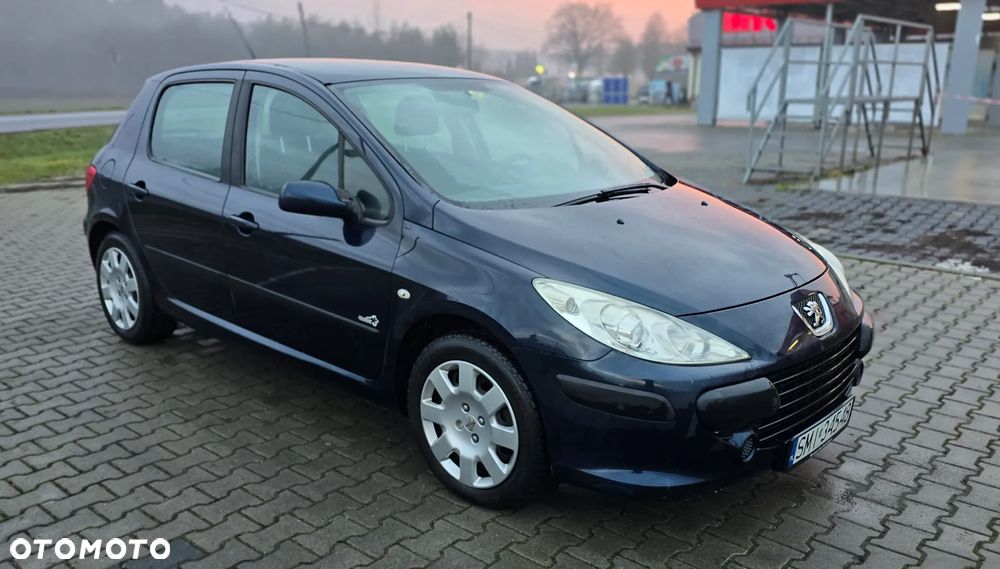 Peugeot 307 - 10