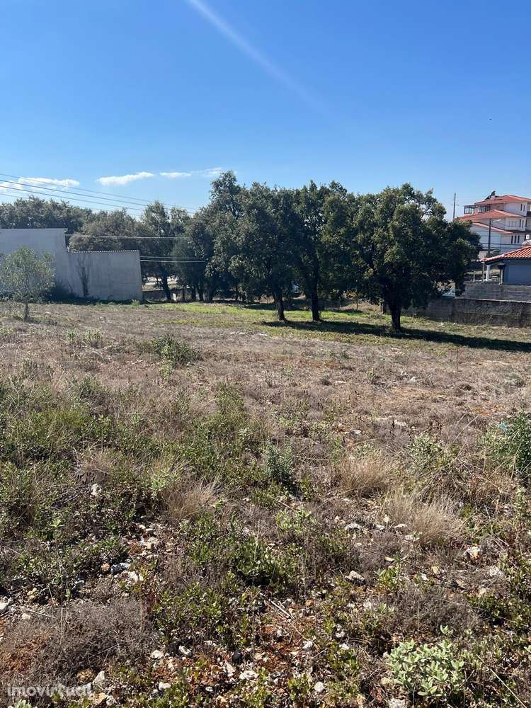 Terreno Urbano em Fátima, Ourém - 1050m² com Vista Campestre - Grande imagem: 5/5