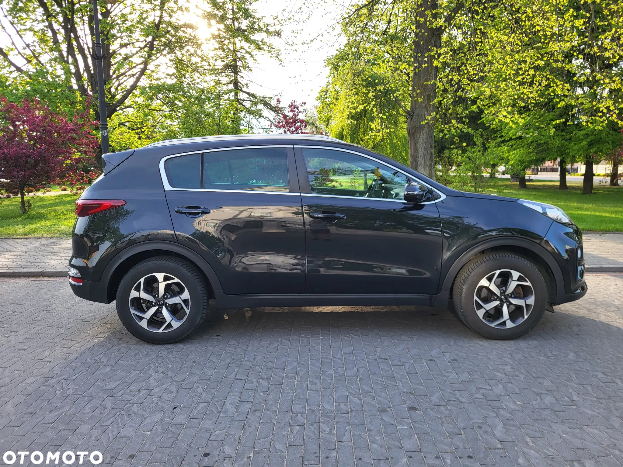 Kia Sportage 1.6 CRDI 2WD EDITION 7 - 3