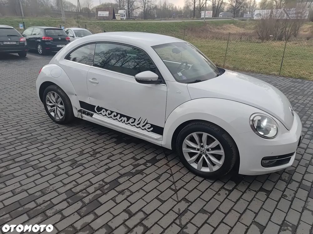 Volkswagen Beetle - 18