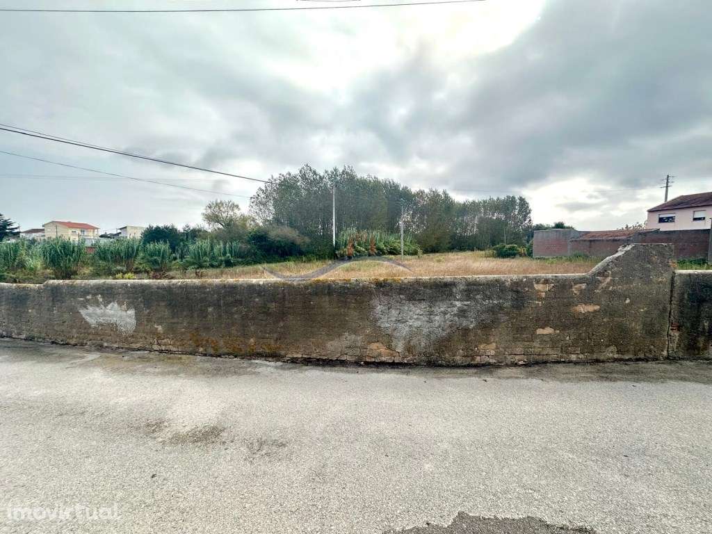 Terreno - Granja, Monte Real - Grande imagem: 5/11