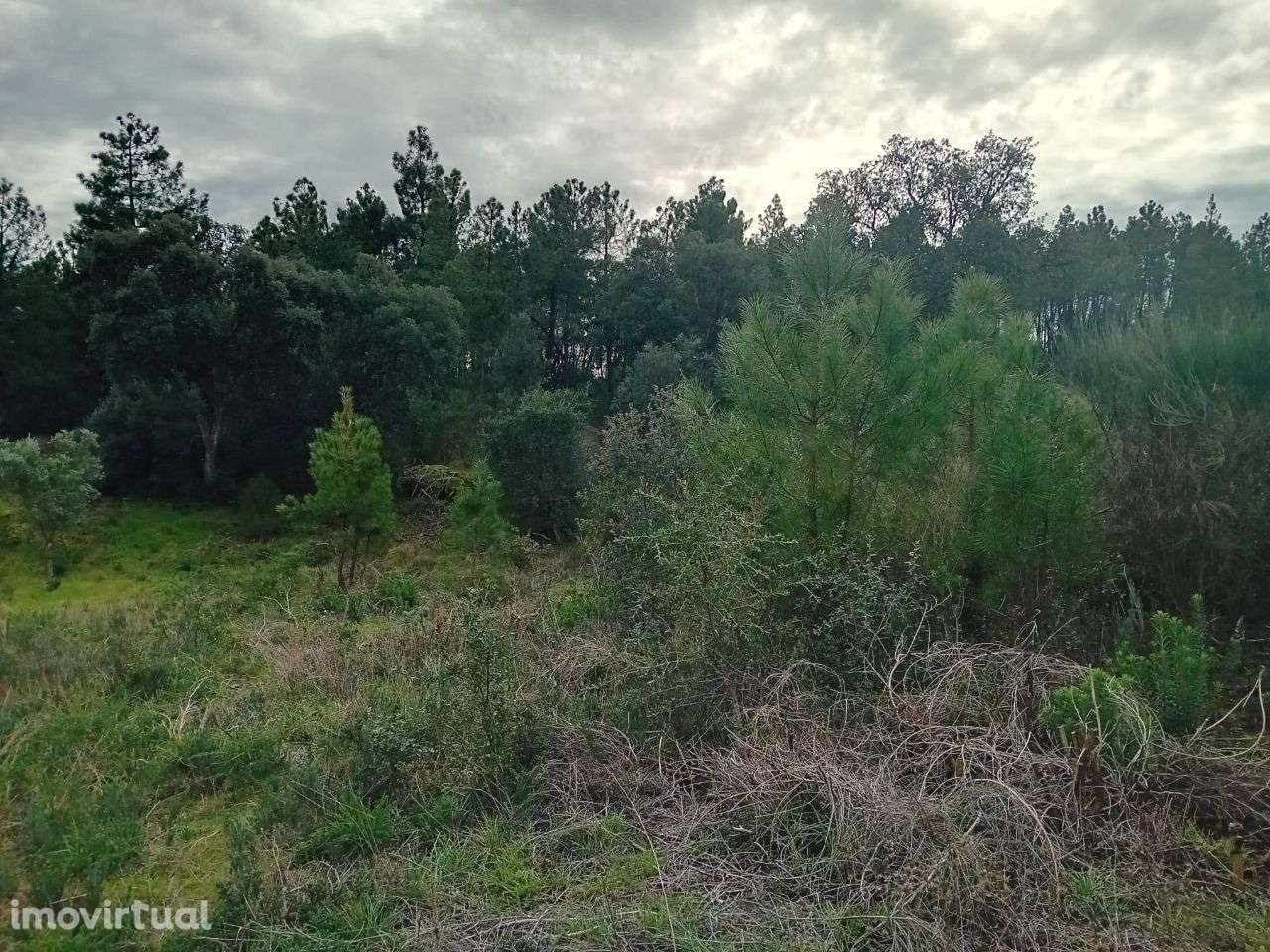 Terreno - Grande imagem: 3/9