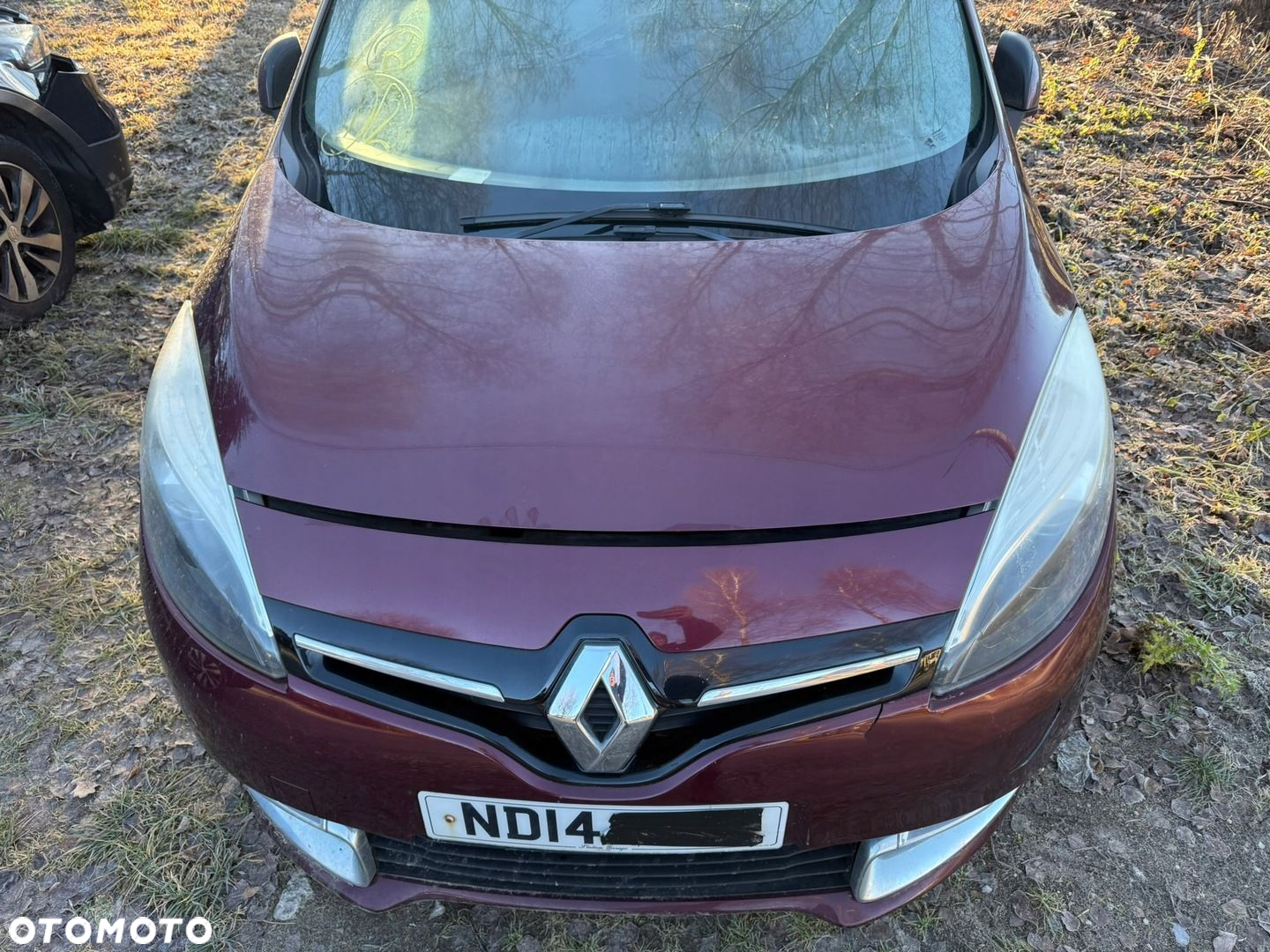 RENAULT SCENIC III LIFT MASKA SILNIKA KOLOR TENNM - 2