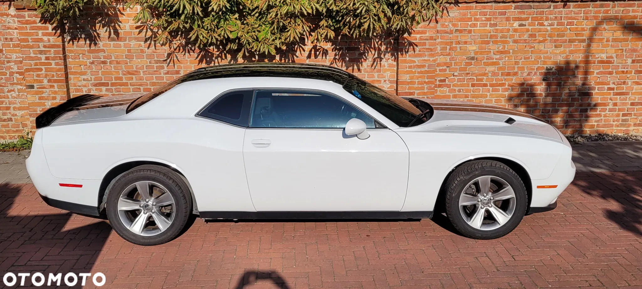 Dodge Challenger - 23