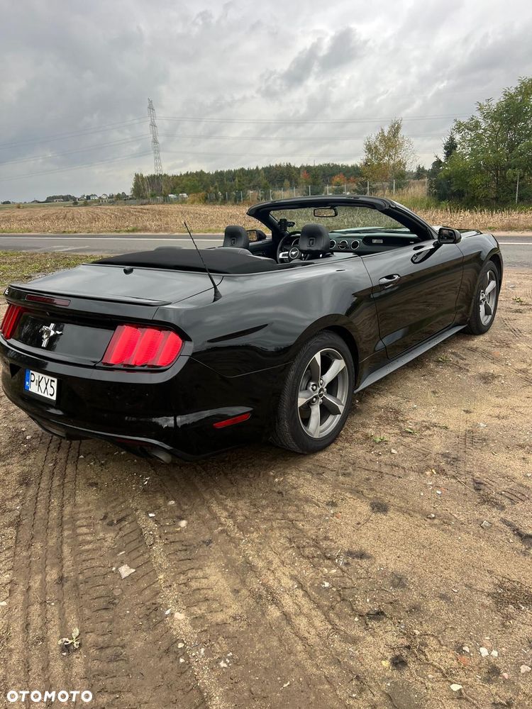 Ford Mustang 5.0 Ti-VCT V8 Black Shadow Edition - 10