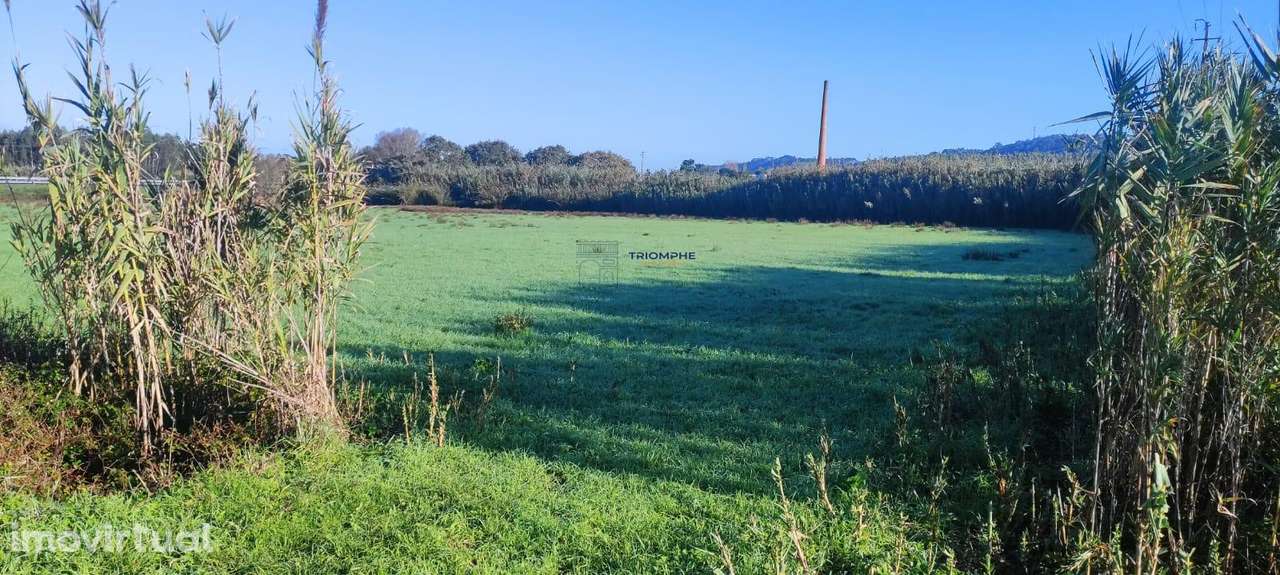 Terreno 16947m2 Lavradio, Caldas da Rainha - Grande imagem: 3/4