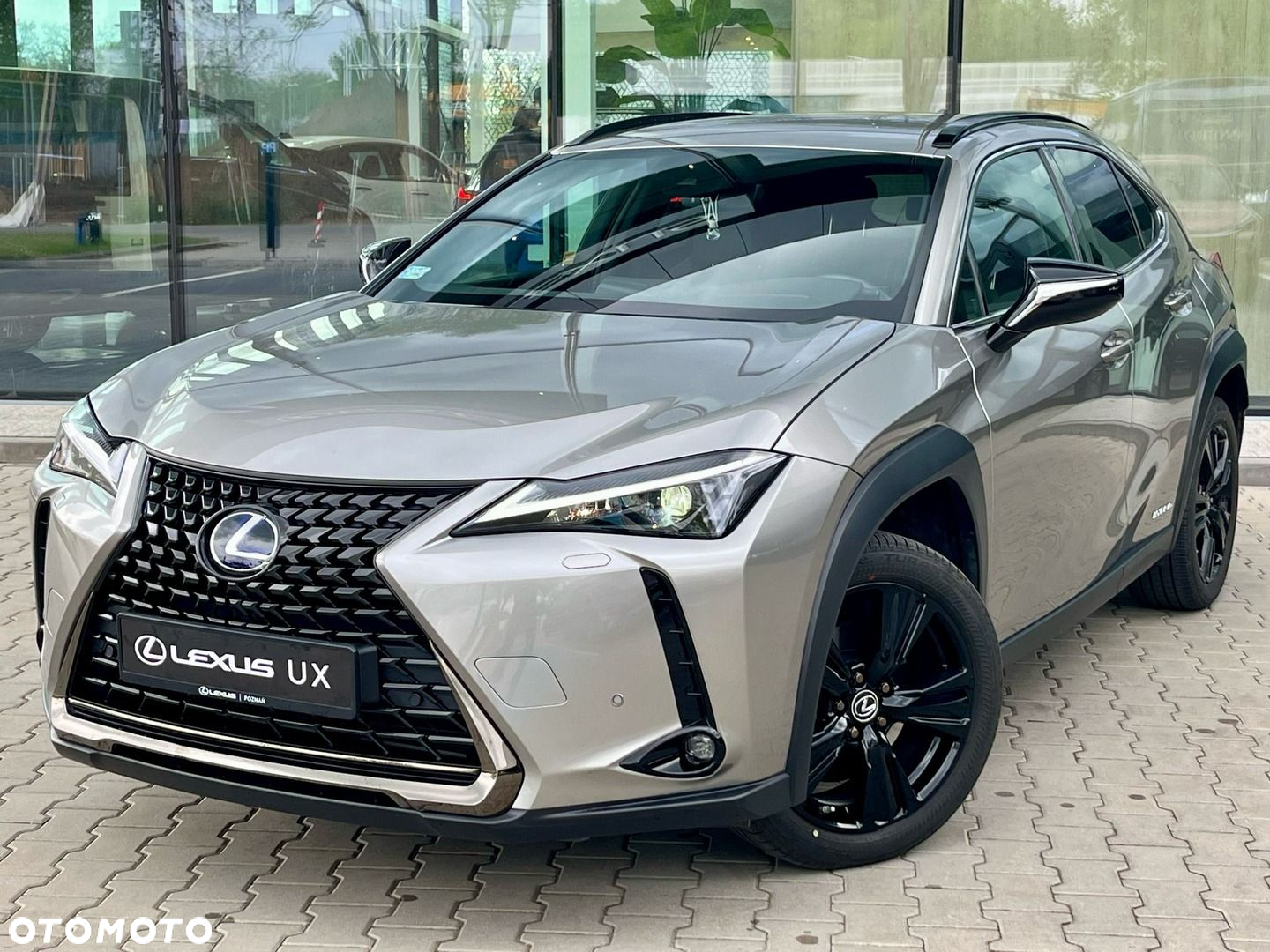Lexus UX - 10