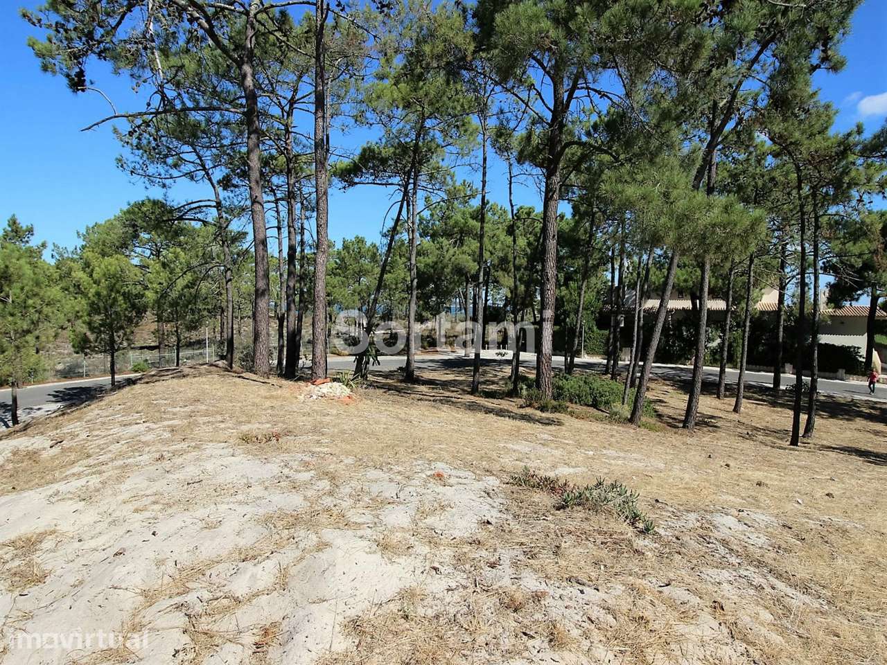 Terreno Para Construção  Venda em Carvalhal,Grândola - Grande imagem: 4/7
