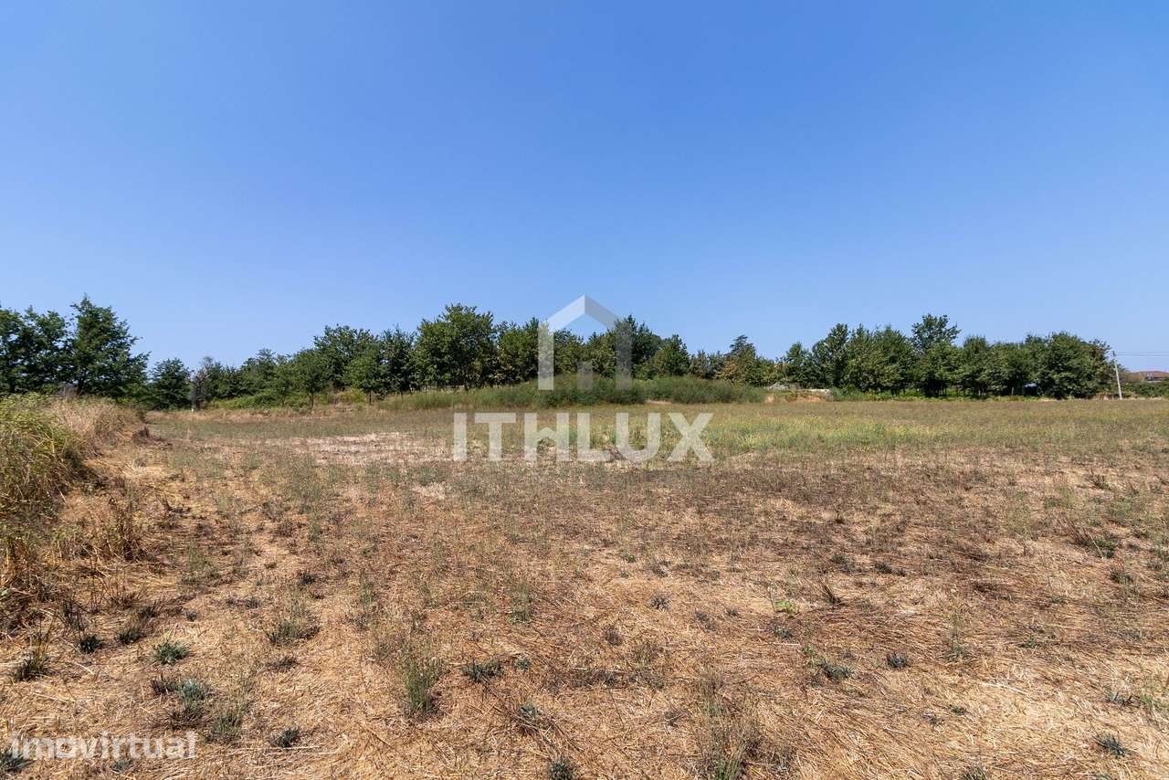 Terreno em Sabugosa - Tondela - Grande imagem: 5/8