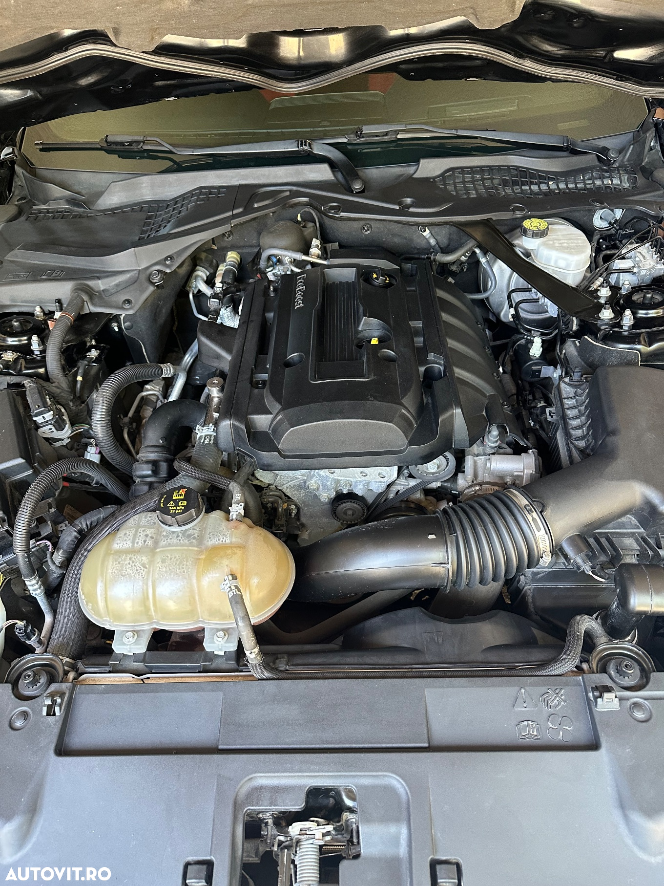 Ford Mustang Cabrio 2.3 Eco Boost - 23