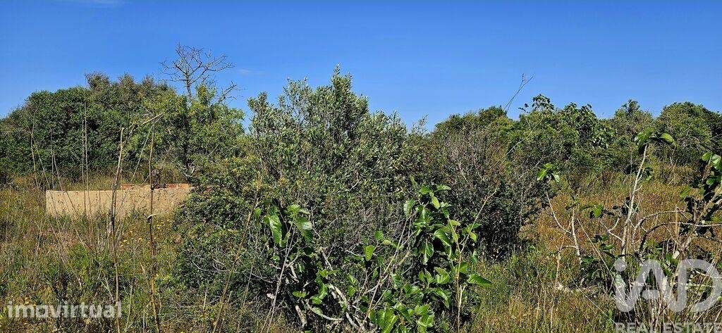 Terreno T1 em Bensafrim e Barão de São João de 25200,00 m2 - Grande imagem: 2/29