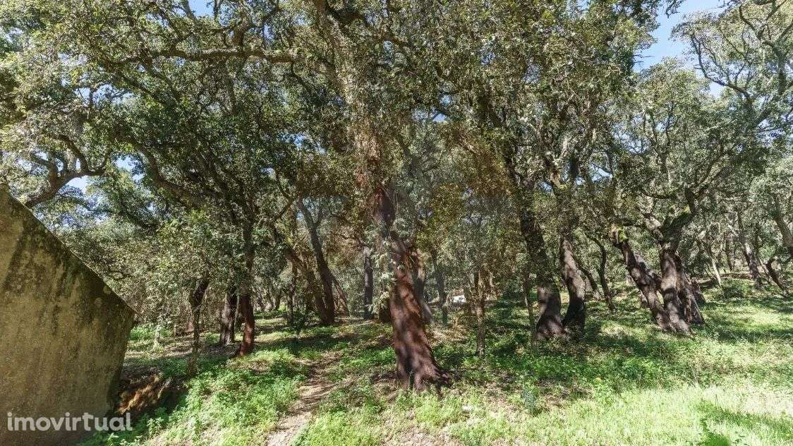 Quinta em Marmelete com grande potencial - Grande imagem: 4/24