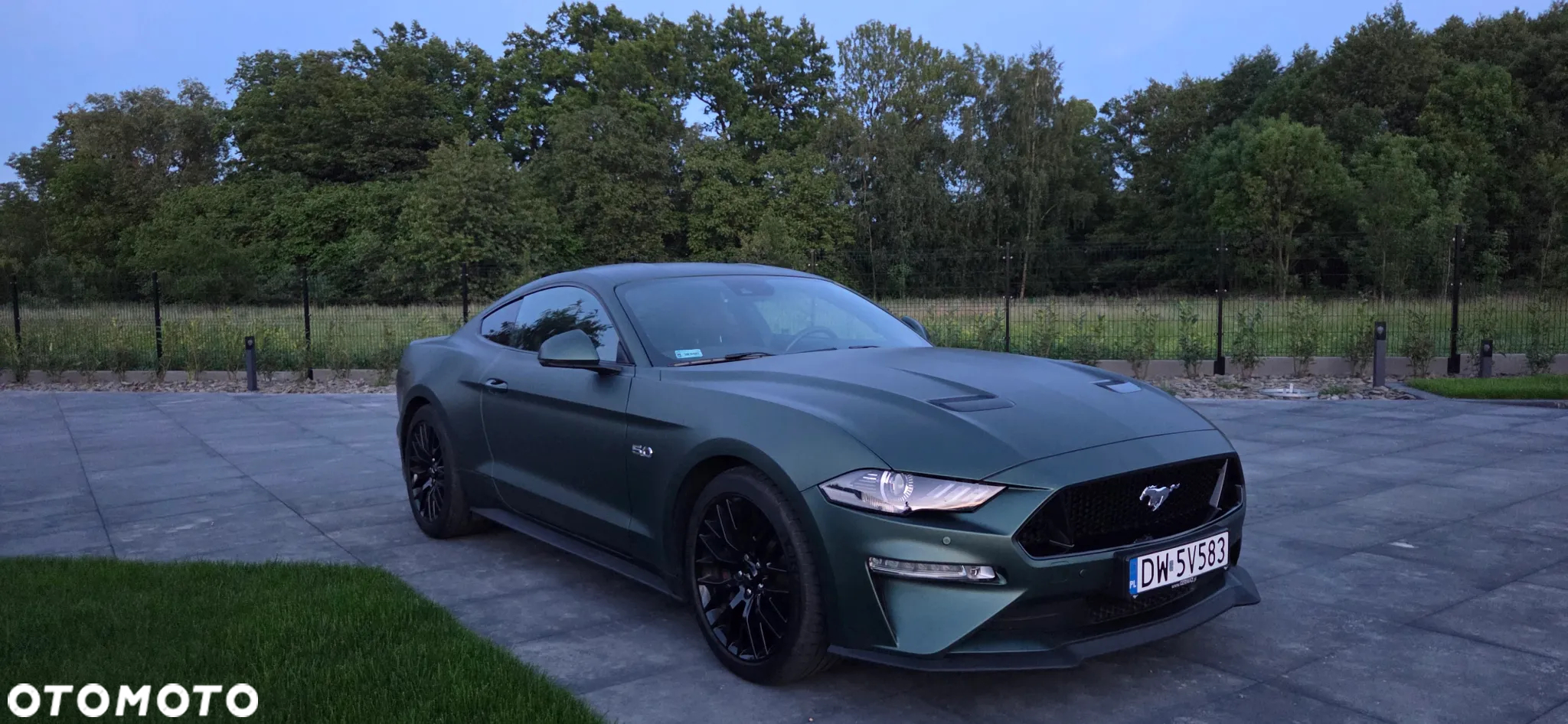Ford Mustang 5.0 V8 GT - 14