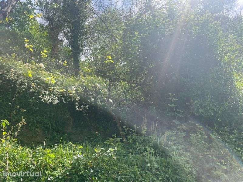 Terreno com ruína - Grande imagem: 5/8