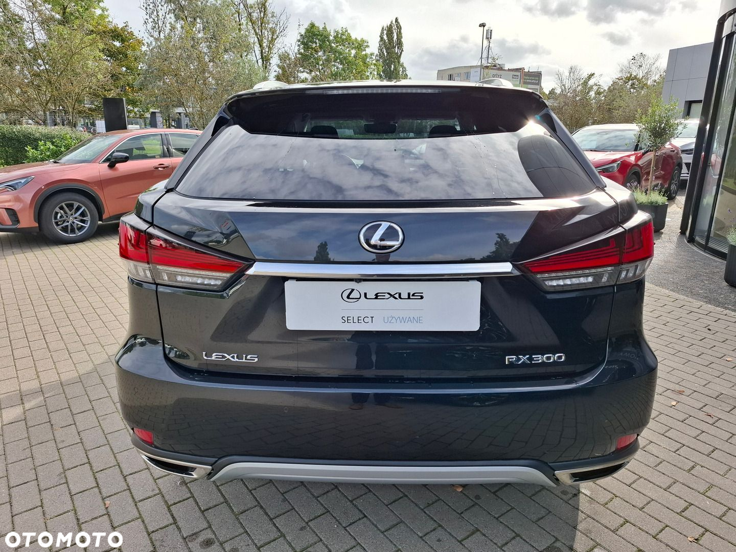 Lexus RX - 4