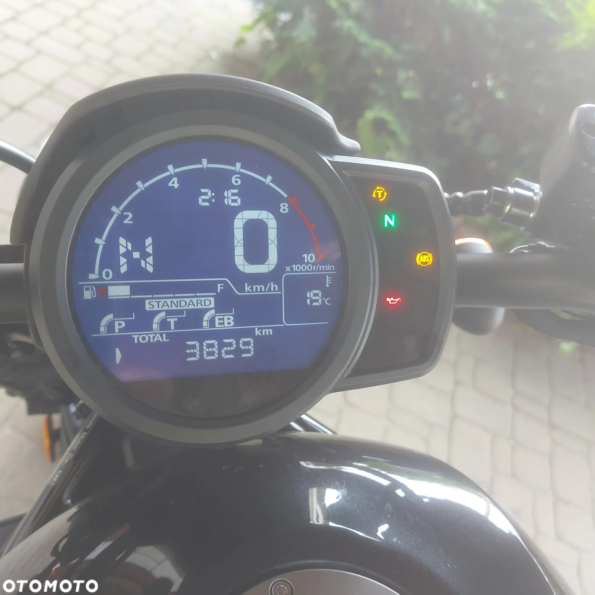 Honda CMX - 7