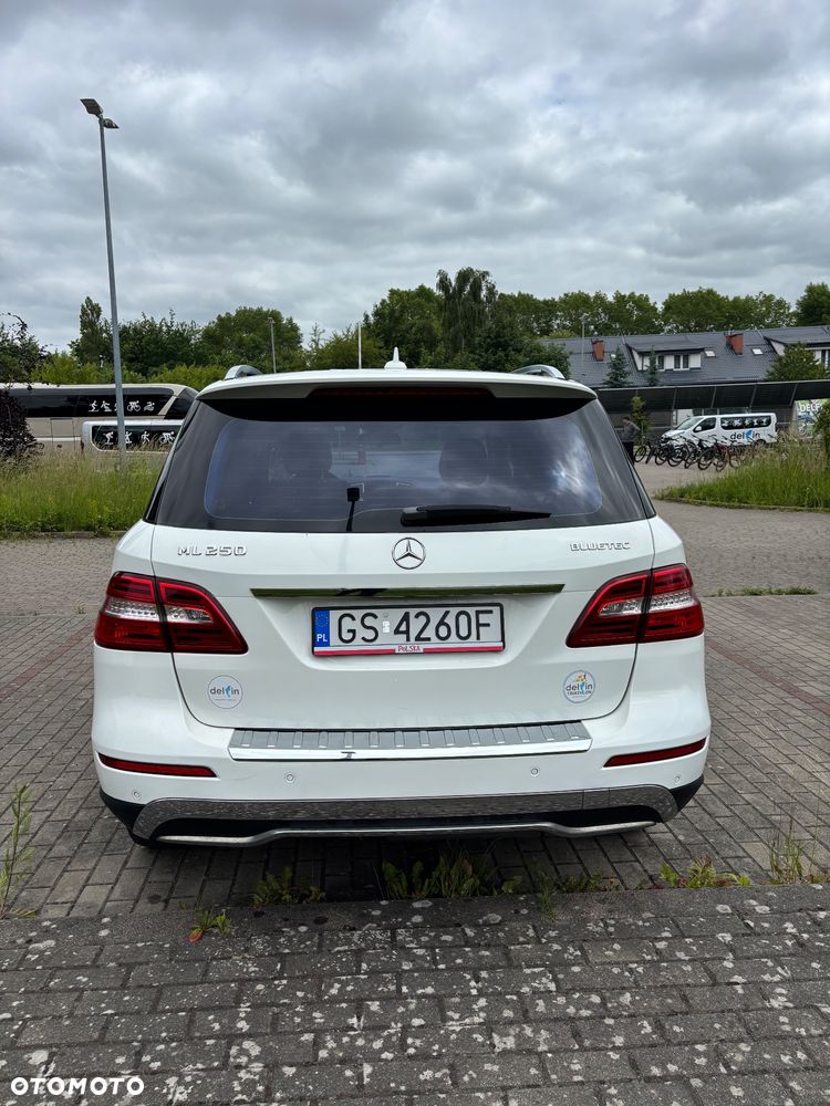 Mercedes-Benz ML 250 BlueTEC 4-Matic - 3