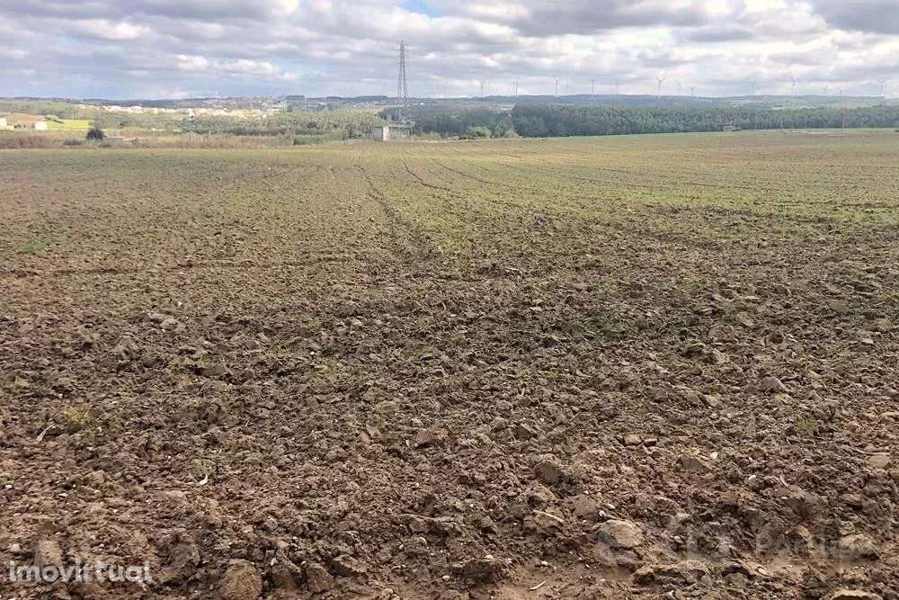 Terreno Rústico de 14.000 m² na Vila de Atouguia da Baleia - Grande imagem: 2/23