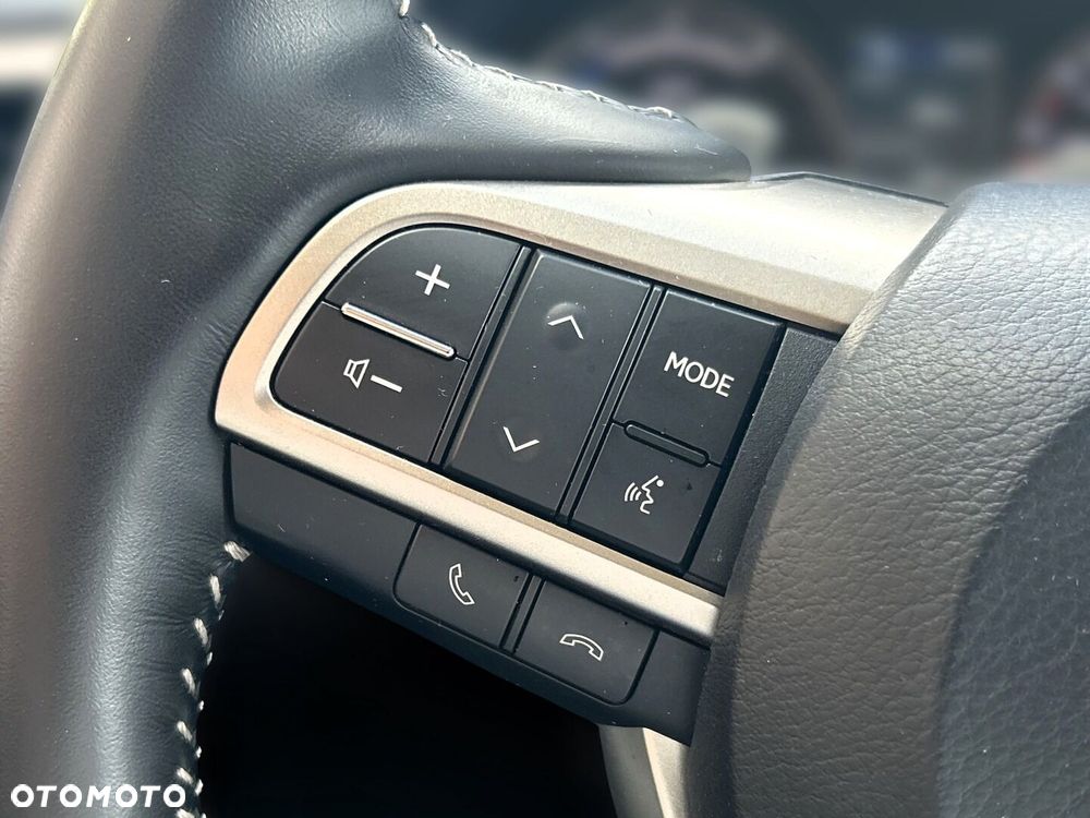 Lexus RX 450h F-Impression - 19