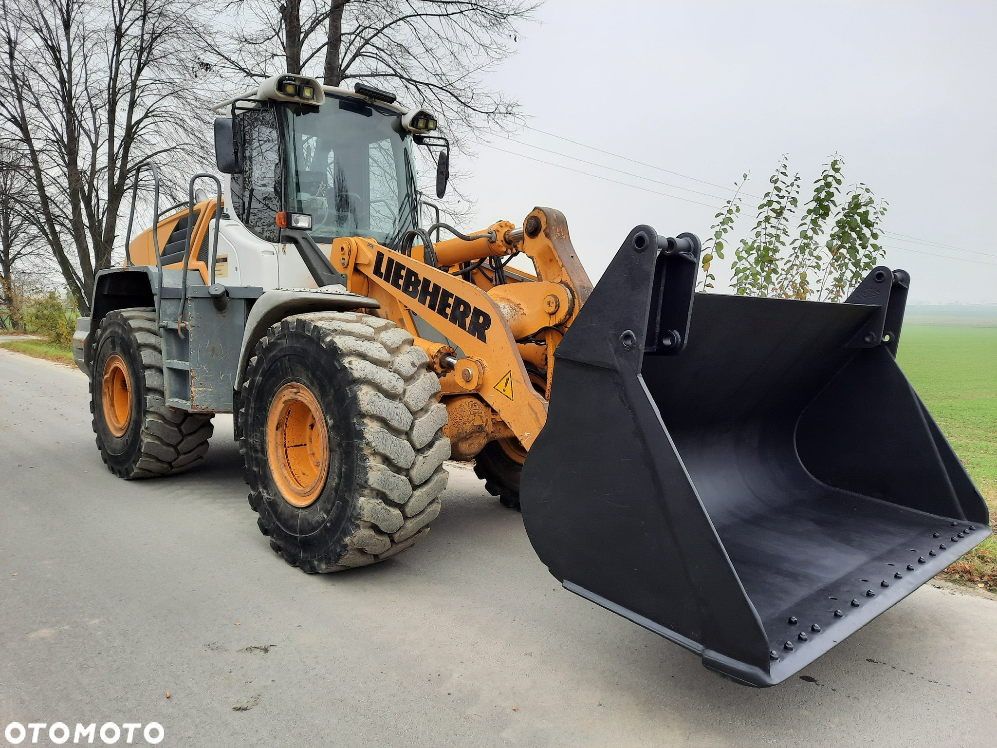 Liebherr L556 - 4
