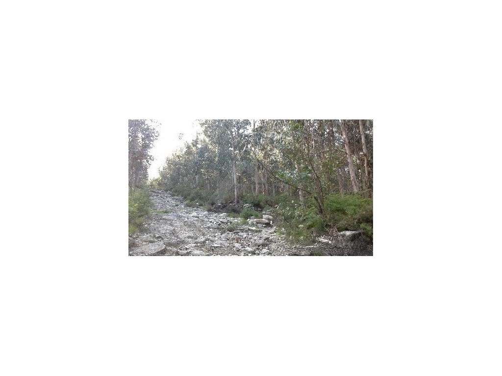 Terreno - Grande imagem: 2/2